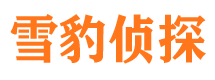 蜀山外遇出轨调查取证